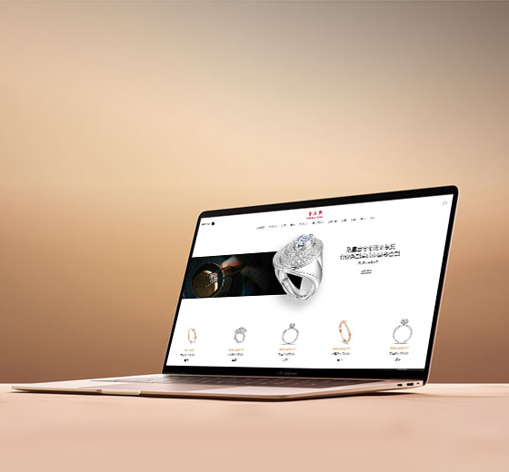 连云港电商平台网站建设,连云港电商网站开发