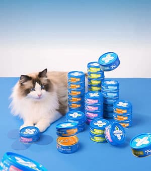 连云港品牌策划 | 群诺品牌咨询与设计