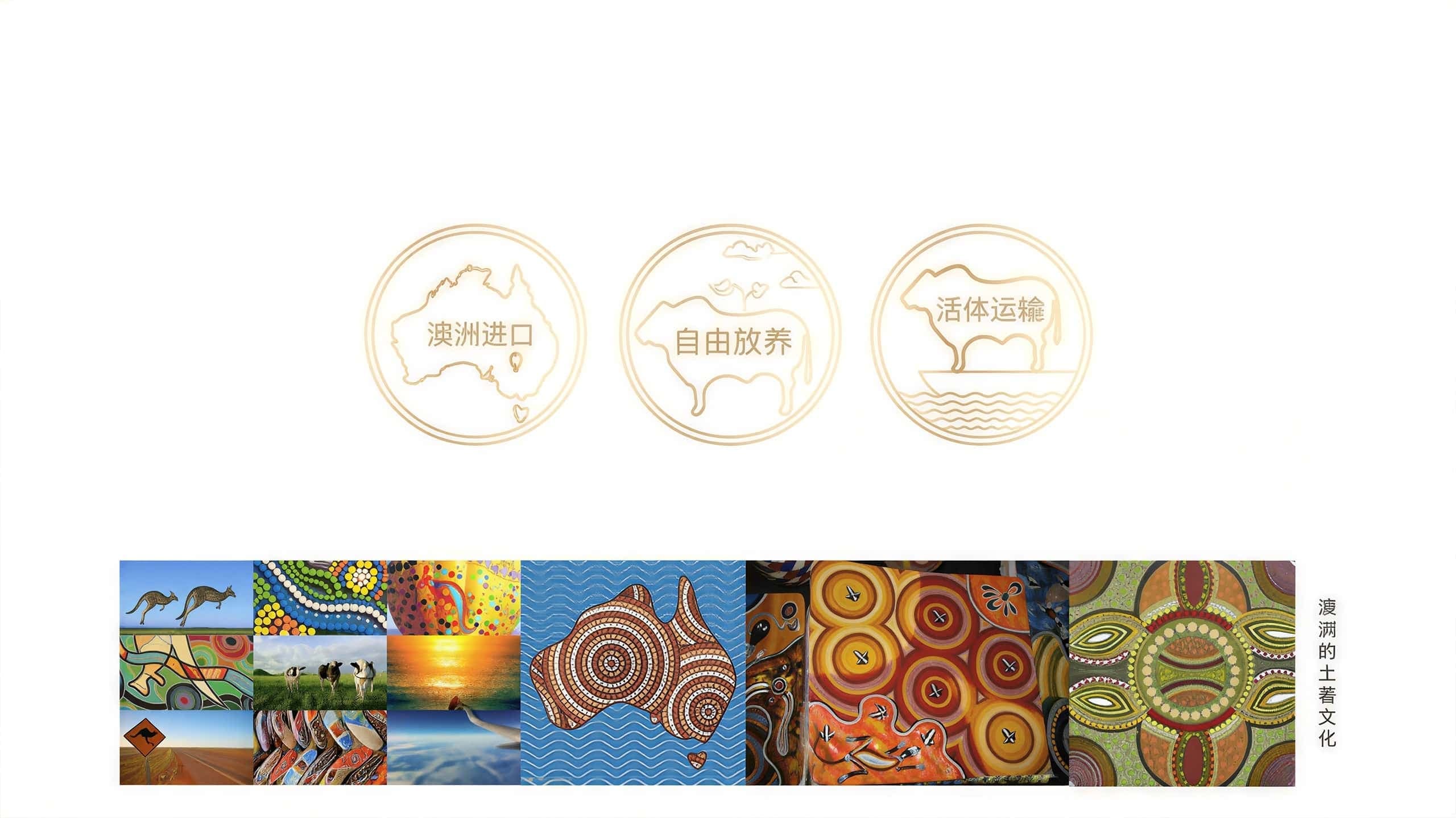 连云港战略品牌创建＆设计